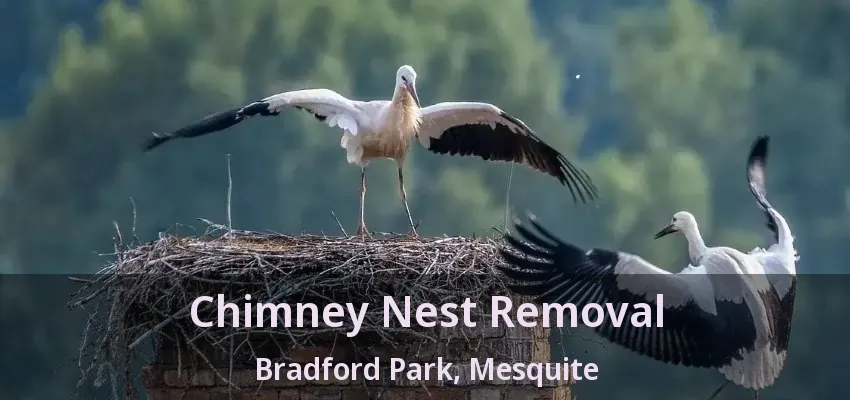 Chimney Nest Removal Bradford Park, Mesquite - TX