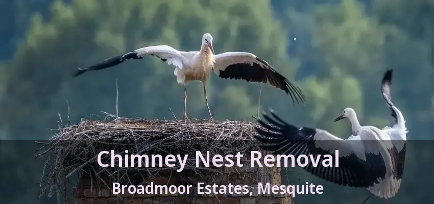 Chimney Nest Removal Broadmoor Estates, Mesquite - TX