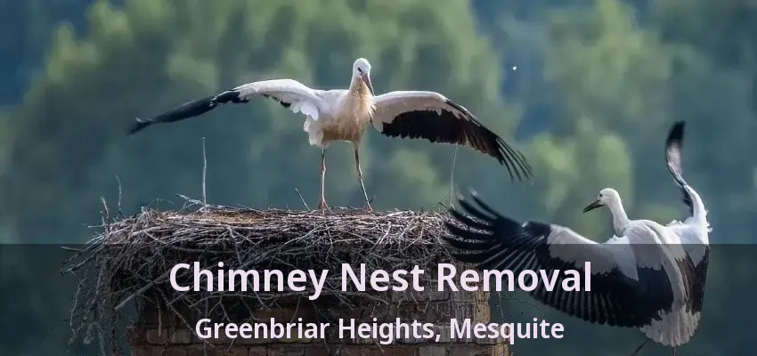 Chimney Nest Removal Greenbriar Heights, Mesquite - TX