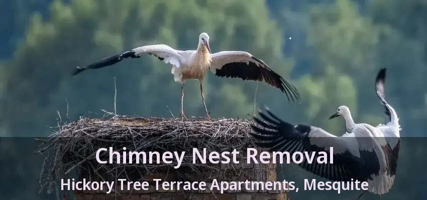 Chimney Nest Removal Hickory Tree Terrace Apartments, Mesquite - TX