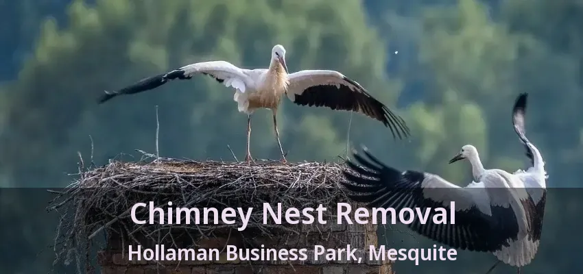 Chimney Nest Removal Hollaman Business Park, Mesquite - TX