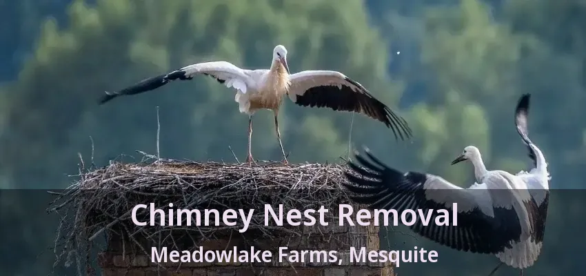 Chimney Nest Removal Meadowlake Farms, Mesquite - TX