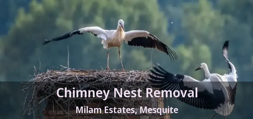 Chimney Nest Removal Milam Estates, Mesquite - TX