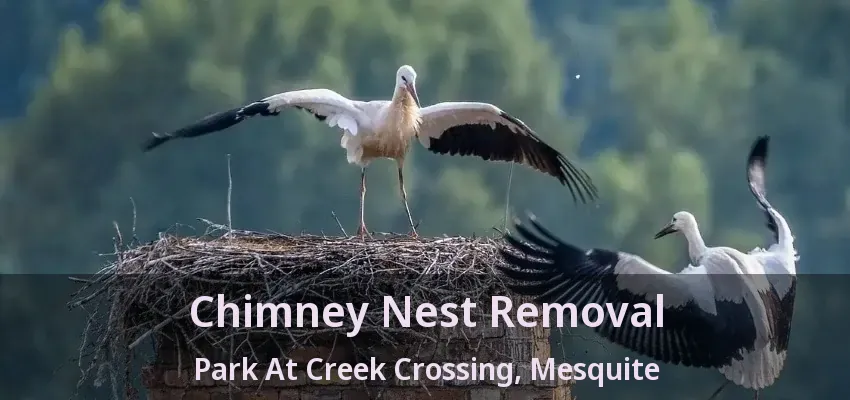 Chimney Nest Removal Park At Creek Crossing, Mesquite - TX