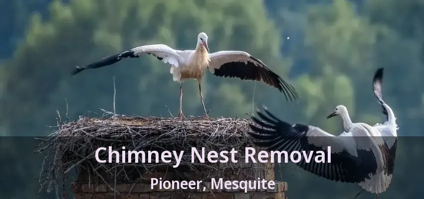Chimney Nest Removal Pioneer, Mesquite - TX