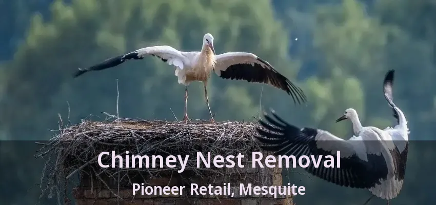 Chimney Nest Removal Pioneer Retail, Mesquite - TX