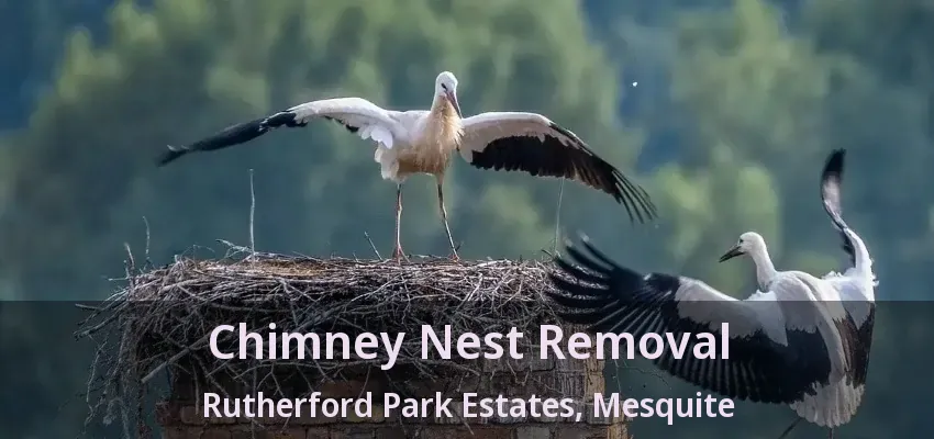 Chimney Nest Removal Rutherford Park Estates, Mesquite - TX