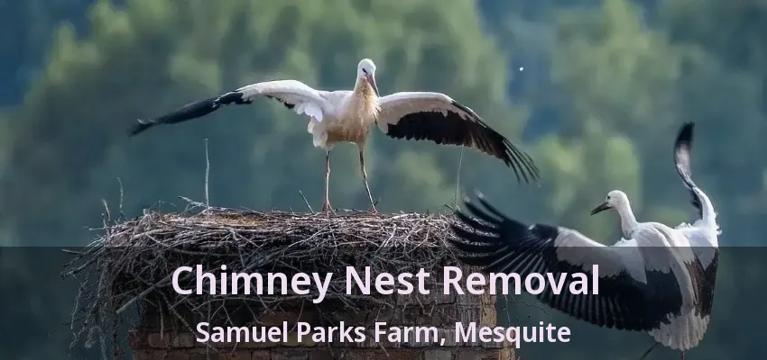 Chimney Nest Removal Samuel Parks Farm, Mesquite - TX