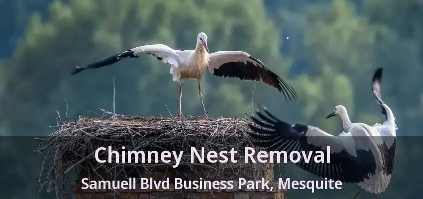 Chimney Nest Removal Samuell Blvd Business Park, Mesquite - TX