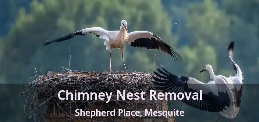 Chimney Nest Removal Shepherd Place, Mesquite - TX