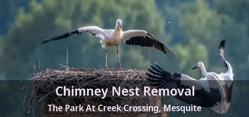 Chimney Nest Removal The Park At Creek Crossing, Mesquite - TX