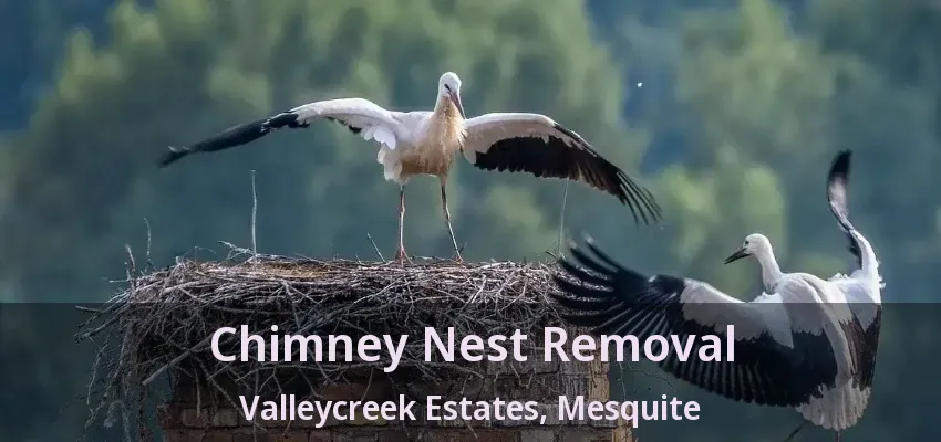 Chimney Nest Removal Valleycreek Estates, Mesquite - TX