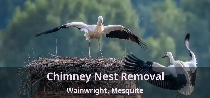 Chimney Nest Removal Wainwright, Mesquite - TX
