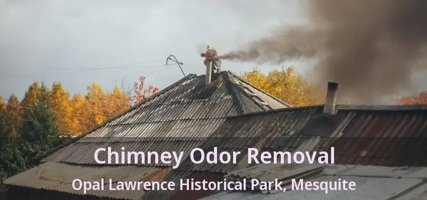 Chimney Odor Removal Opal Lawrence Historical Park, Mesquite - TX