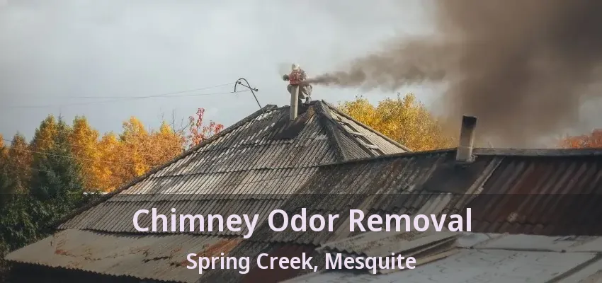 Chimney Odor Removal Spring Creek, Mesquite - TX