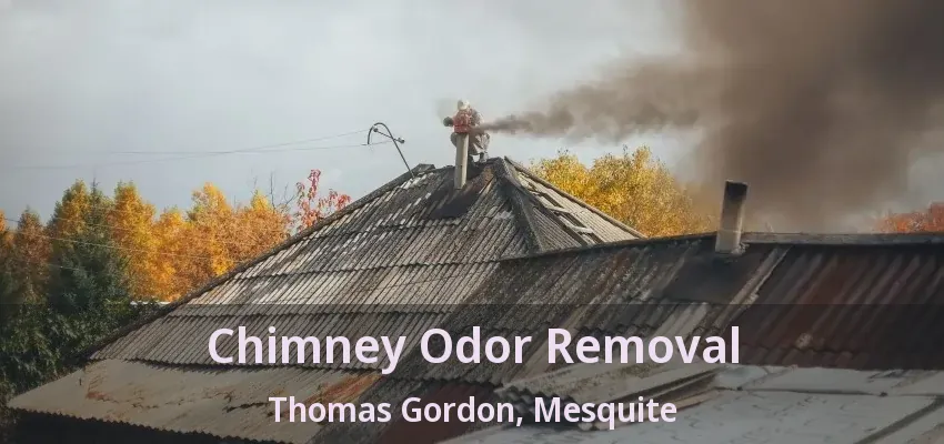 Chimney Odor Removal Thomas Gordon, Mesquite - TX