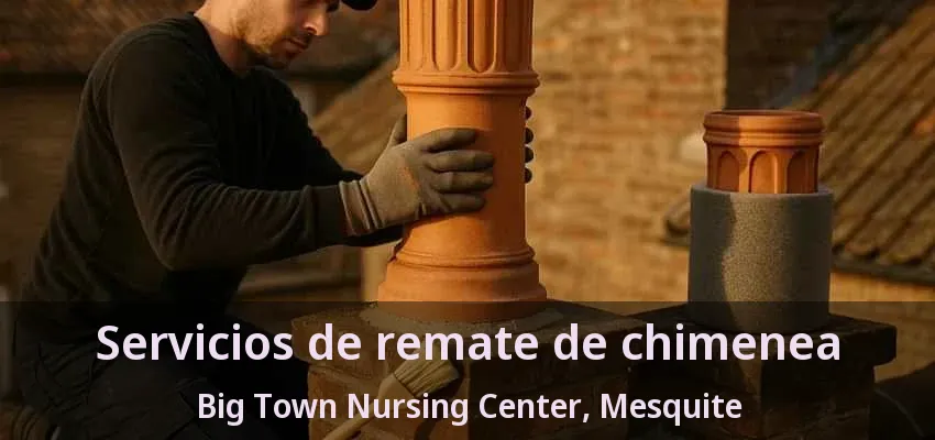 Servicios de remate de chimenea Big Town Nursing Center, Mesquite - TX