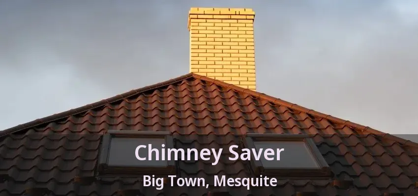 Chimney Saver Big Town, Mesquite - TX