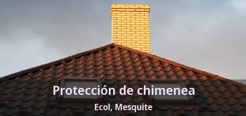 Protección de chimenea Ecol, Mesquite - TX