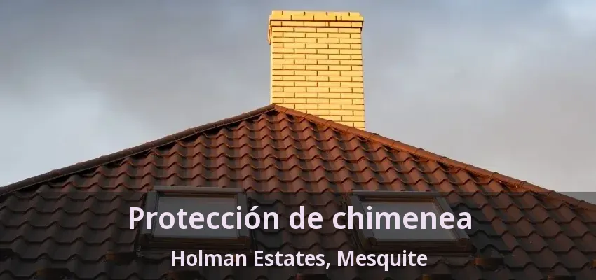 Protección de chimenea Holman Estates, Mesquite - TX