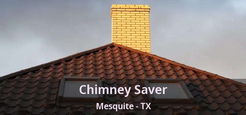 Chimney Saver Mesquite - TX