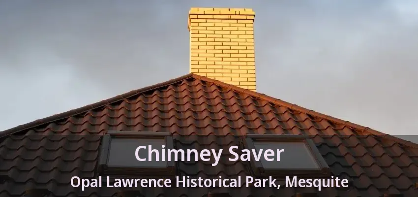 Chimney Saver Opal Lawrence Historical Park, Mesquite - TX