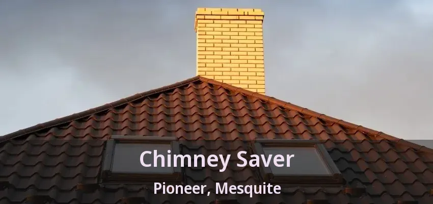 Chimney Saver Pioneer, Mesquite - TX