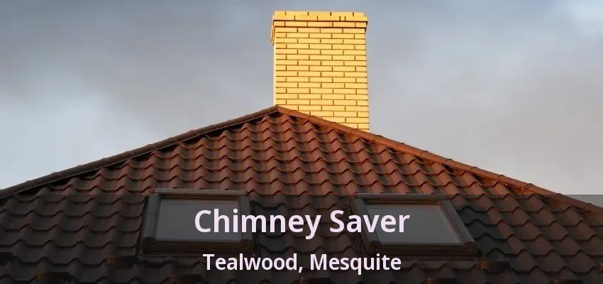 Chimney Saver Tealwood, Mesquite - TX