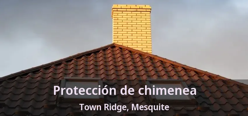Protección de chimenea Town Ridge, Mesquite - TX Protección de chimenea Town Ridge, Mesquite - TX