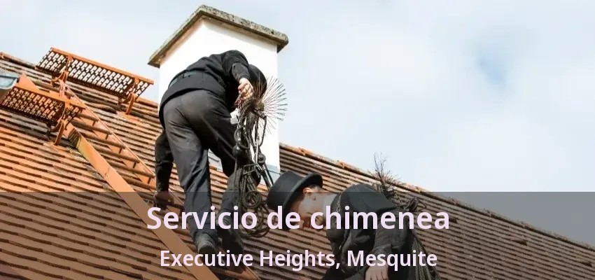 Servicio de chimenea Executive Heights, Mesquite - TX