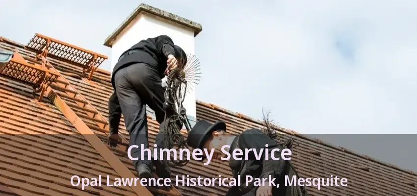 Chimney Service Opal Lawrence Historical Park, Mesquite - TX