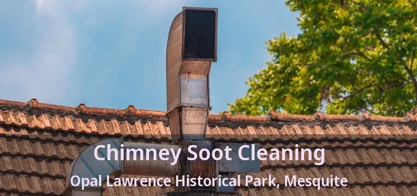 Chimney Soot Cleaning Opal Lawrence Historical Park, Mesquite - TX
