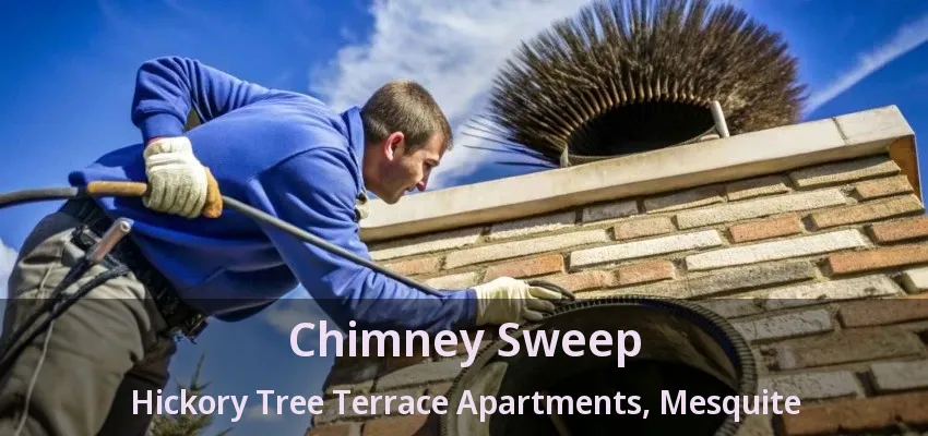 Chimney Sweep Hickory Tree Terrace Apartments, Mesquite - TX