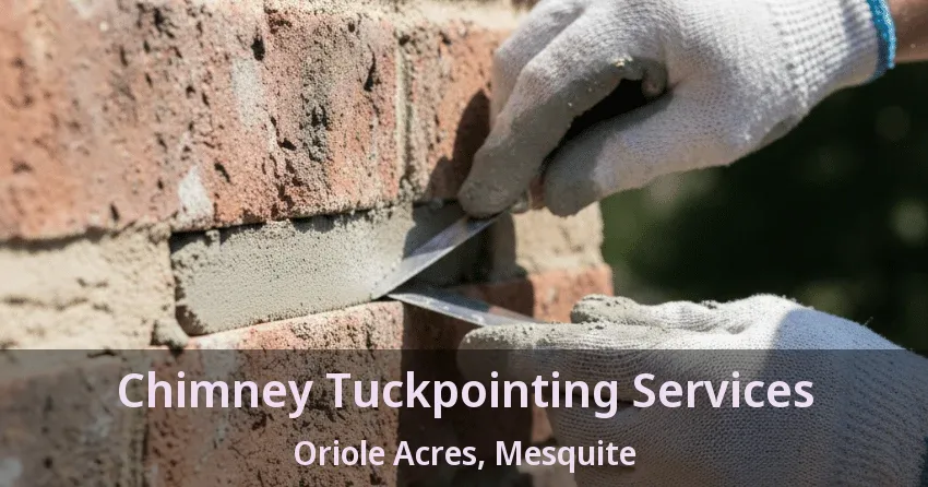 Chimney Tuckpointing Services Oriole Acres, Mesquite - TX