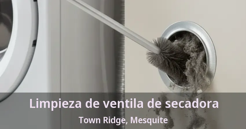 Limpieza de ventila de secadora Town Ridge, Mesquite - TX