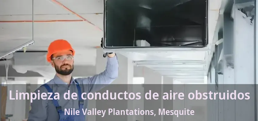 Limpieza de conductos de aire obstruidos Nile Valley Plantations, Mesquite - TX
