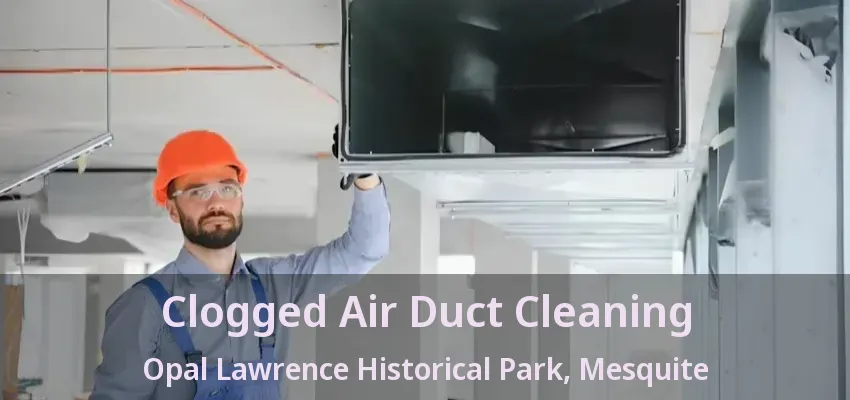 Clogged Air Duct Cleaning Opal Lawrence Historical Park, Mesquite - TX