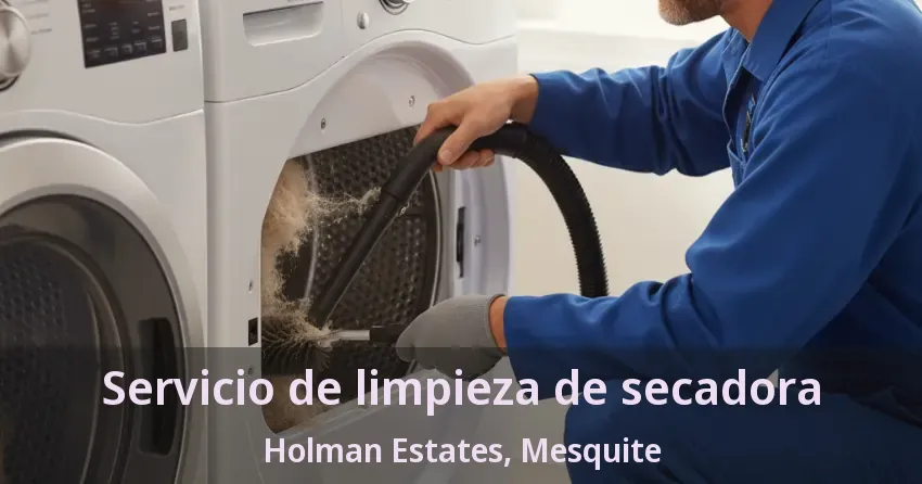 Servicio de limpieza de secadora Holman Estates, Mesquite - TX Servicio de limpieza de secadora Holman Estates, Mesquite - TX