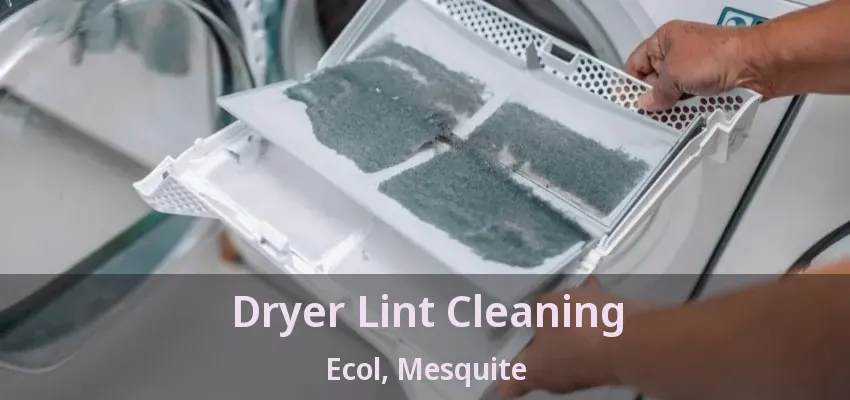 Dryer Lint Cleaning Ecol, Mesquite - TX