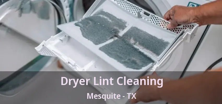 Dryer Lint Cleaning Mesquite - TX