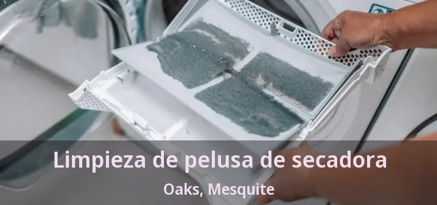 Limpieza de pelusa de secadora Oaks, Mesquite - TX
