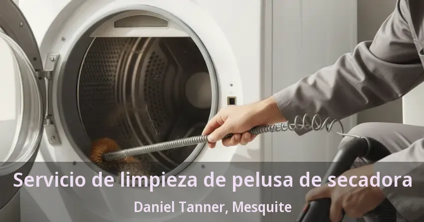 Servicio de limpieza de pelusa de secadora Daniel Tanner, Mesquite - TX