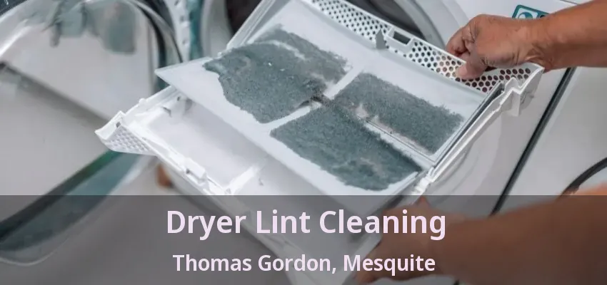 Dryer Lint Cleaning Thomas Gordon, Mesquite - TX