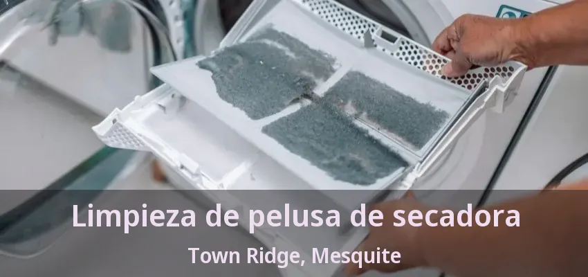 Limpieza de pelusa de secadora Town Ridge, Mesquite - TX