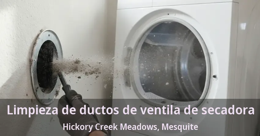 Limpieza de ductos de ventila de secadora Hickory Creek Meadows, Mesquite - TX