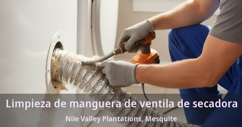 Limpieza de manguera de ventila de secadora Nile Valley Plantations, Mesquite - TX