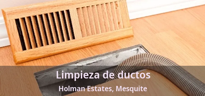 Limpieza de ductos Holman Estates, Mesquite - TX