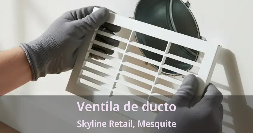 Ventila de ducto Skyline Retail, Mesquite - TX