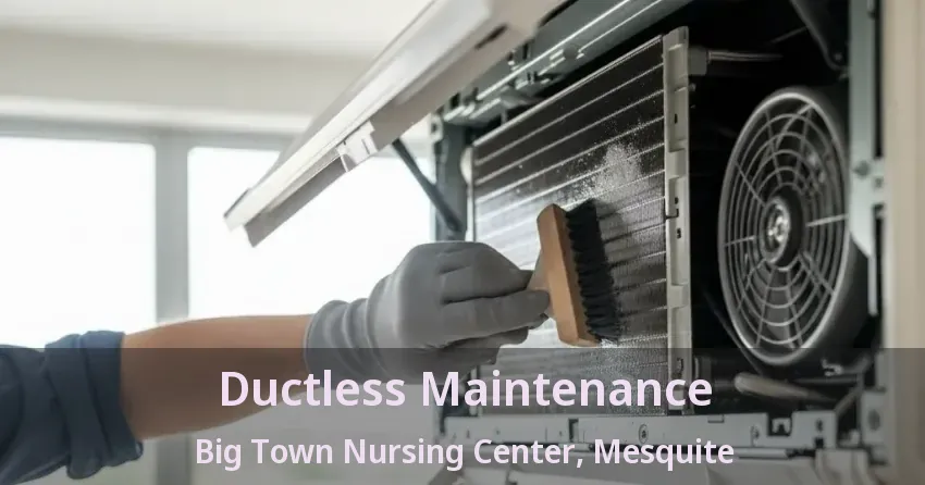 Ductless Maintenance Big Town Nursing Center, Mesquite - TX