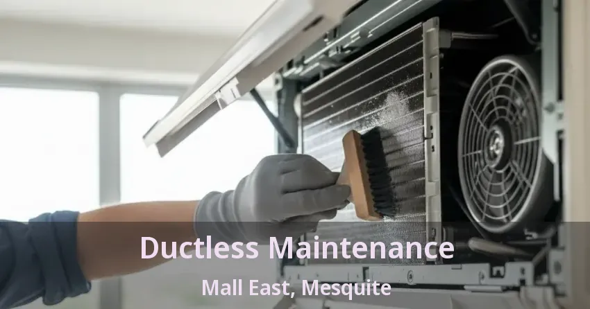 Ductless Maintenance Mall East, Mesquite - TX